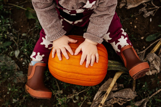 Drewton's Pumpkin Patch Child with Pumpkin