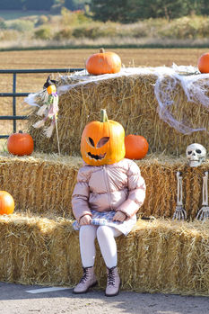 Drewton's Pumpkin Patch Pumpkin Head