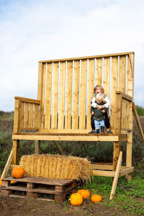 Drewton's Pumpkin Patch Children on Pumpkin Chair