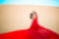 dp_U7A2365 copy.jpg