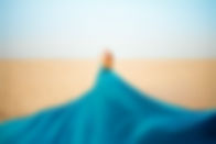 cp_U7A9608 copy.jpg
