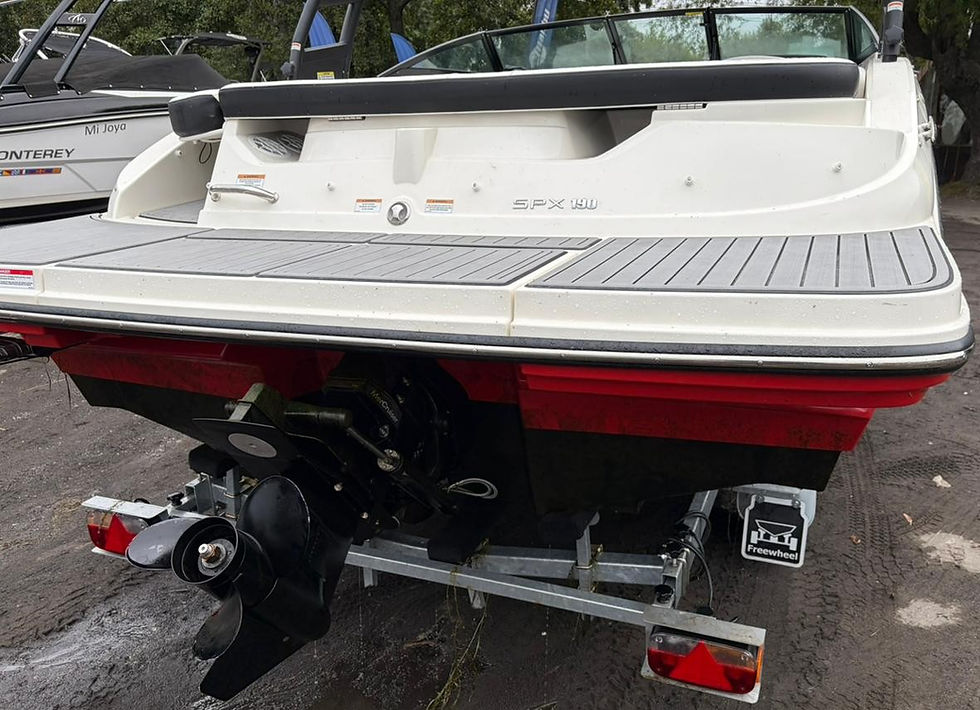 Miniatura: Sea Ray SPX 190