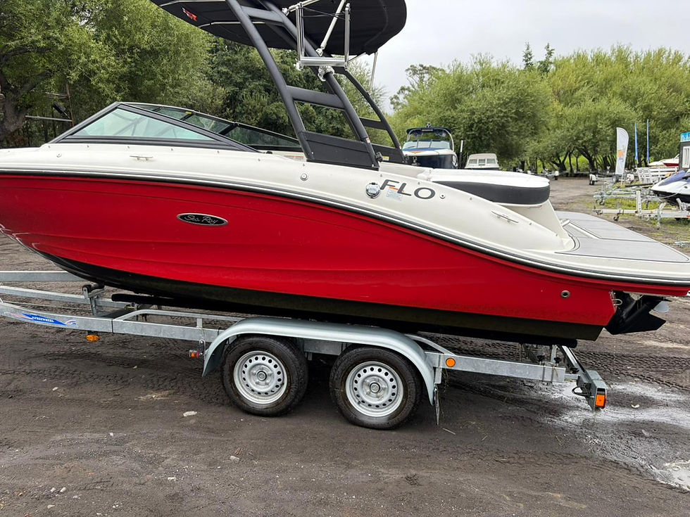 Miniatura: Sea Ray SPX 190