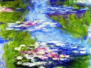 Monet's Waterlilies