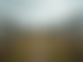 The Untold Story of Andersonville Georgia in the Civil War and My Ancestors' Legacy