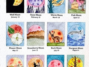 The Moons of 2025: A Poetic Cycle