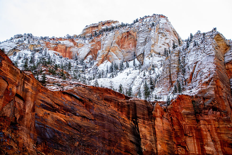 Zion Cliffs
