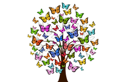 butterflies-2713343_960_720.png