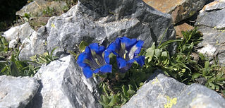 24062011066.jpg