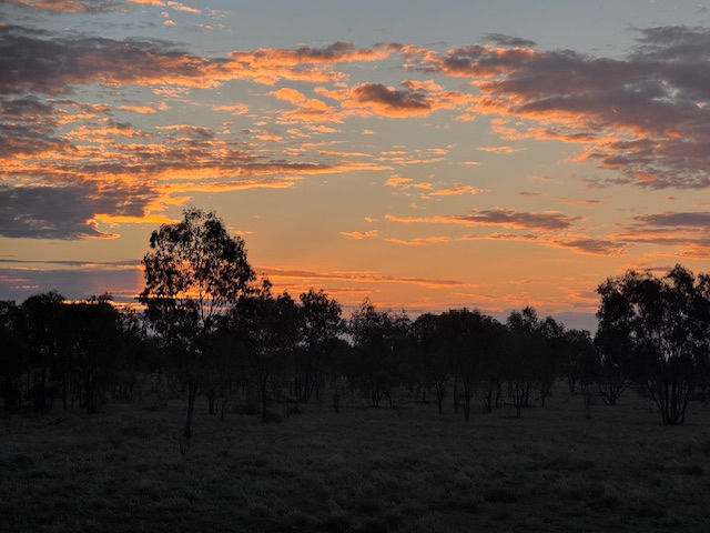 Amazing sunsets and sunrises