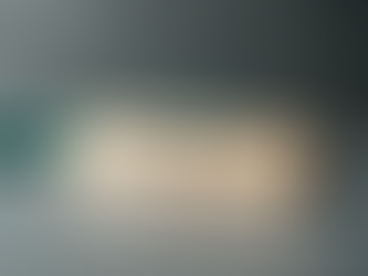 Expert Career Guidance: Ladder Careers Mentorship Programs