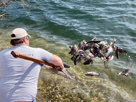 Harbinger of Spring: Trout Truck Arrives on Martha's Vineyard