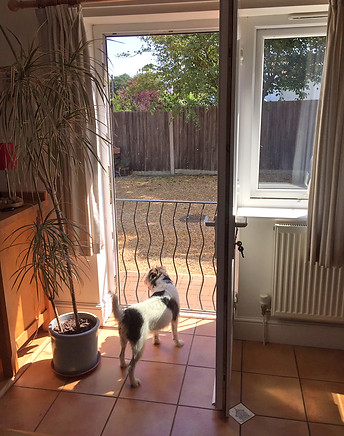 Percy SG terrace.JPG