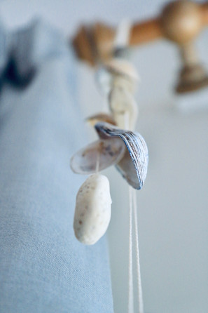 Sea-Glimpse shells.jpeg
