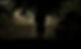 18673239_113966282520865_2906677405019981716_o_edited.jpg