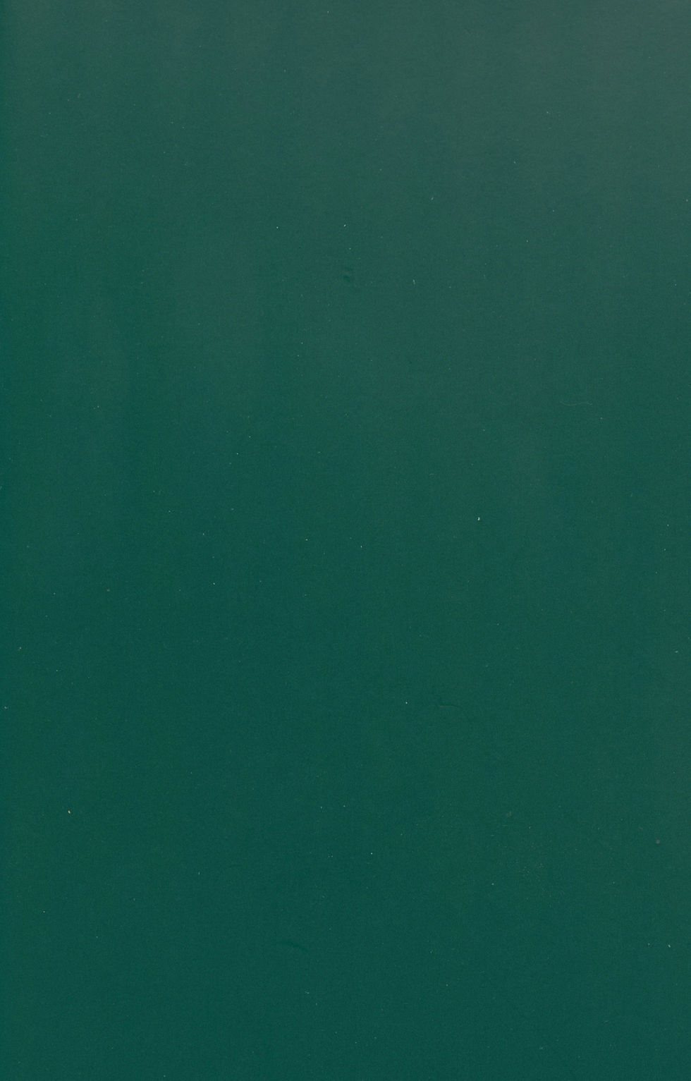 Green cardboard_edited.jpg