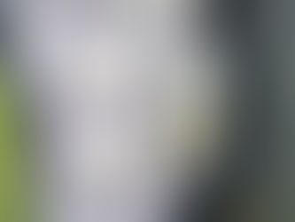 Outdoor Electric Sockets