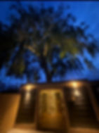 Tree house from outside in Boston Lincolnshire.jpeg