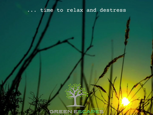 From Railway Carriages to Luxury Lodges: The Story Behind Green Escapes Lincs