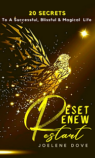 book- reset renew restart