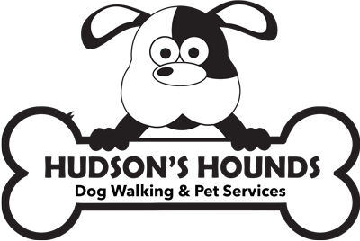 Hudson hounds dog walking best sale