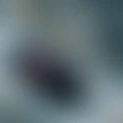 Edo & Vita Pre-wedding Sumba