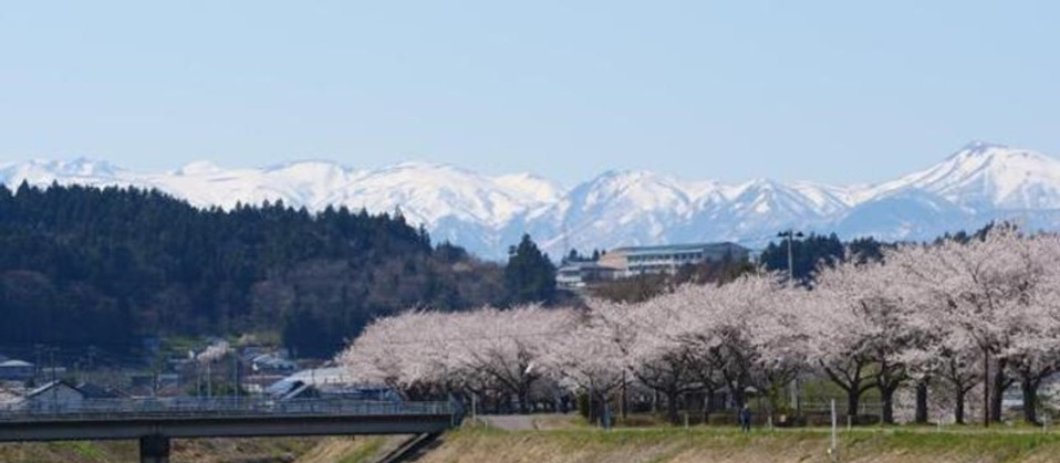 焼石岳.jpg