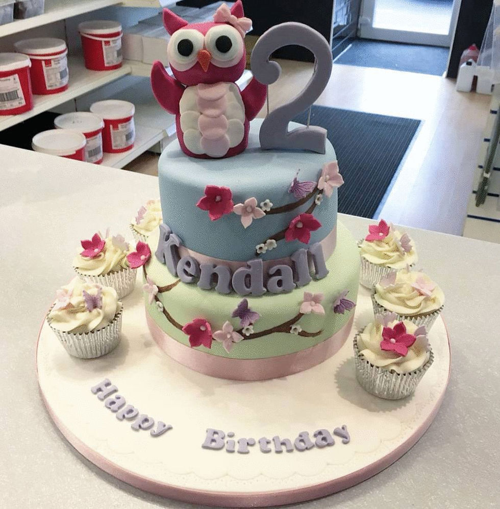 Owl Cake