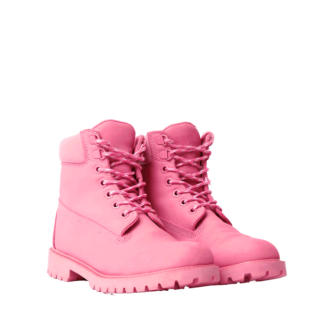 dog-shoe.gif