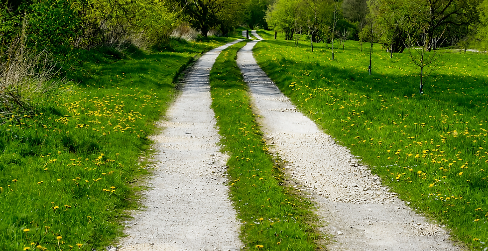image - caminho.png