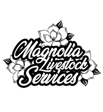 magnolia 2 (1).png