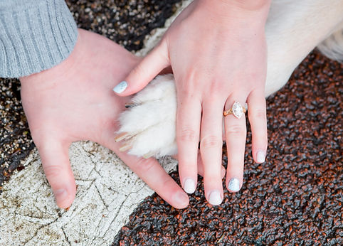 FinalsEdited_KellyandDavid_EngagmentShoot_NinaValPhotography-28.jpg