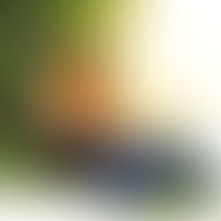 Rationalisation Bias