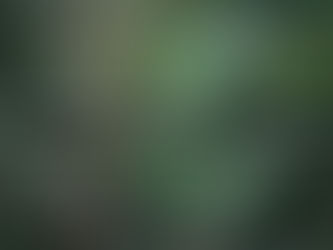 Understanding The Cycle of Narcissistic Abuse