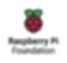 Logo for Raspberry Pi