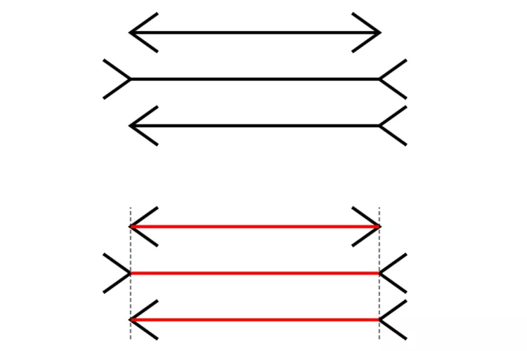 example of the Müller-Lyer Illusions