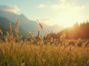 Les 5 blessures de l’âme : causes, symptômes et pistes de guérison