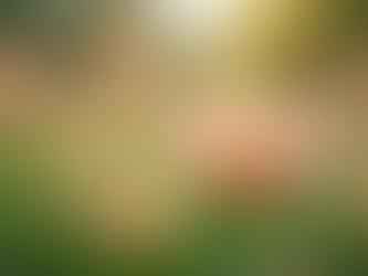 Reconnaître les signes que nous envoient nos proches disparus