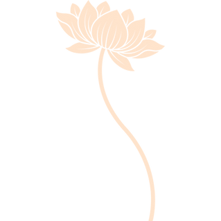Mandala art vector