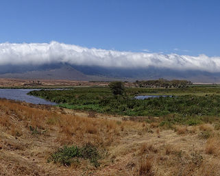 Ngorongoro-Crater-Rim-From-Bottom.jfif