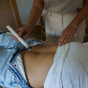 hormonal-and-fertility-support-1.jpg