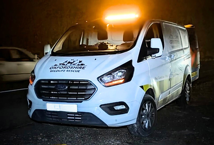 Grimpt Brush (72).png