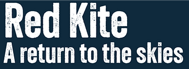 Untitled (16)_edited.png