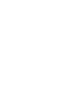 Element 41.webp