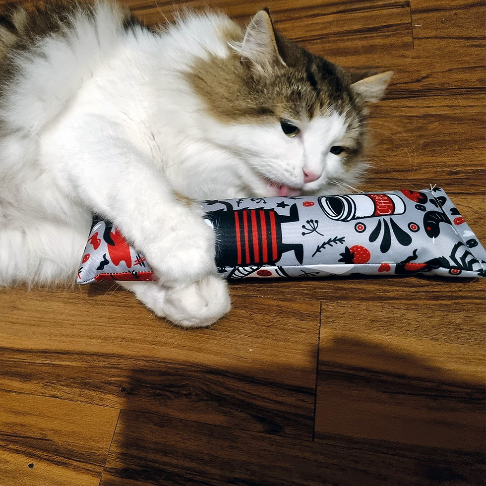 Thumbnail: A white tabby cat playing with the 4Cats Crazy Collection Catnip Cat Kicker in grey with playful monster designs