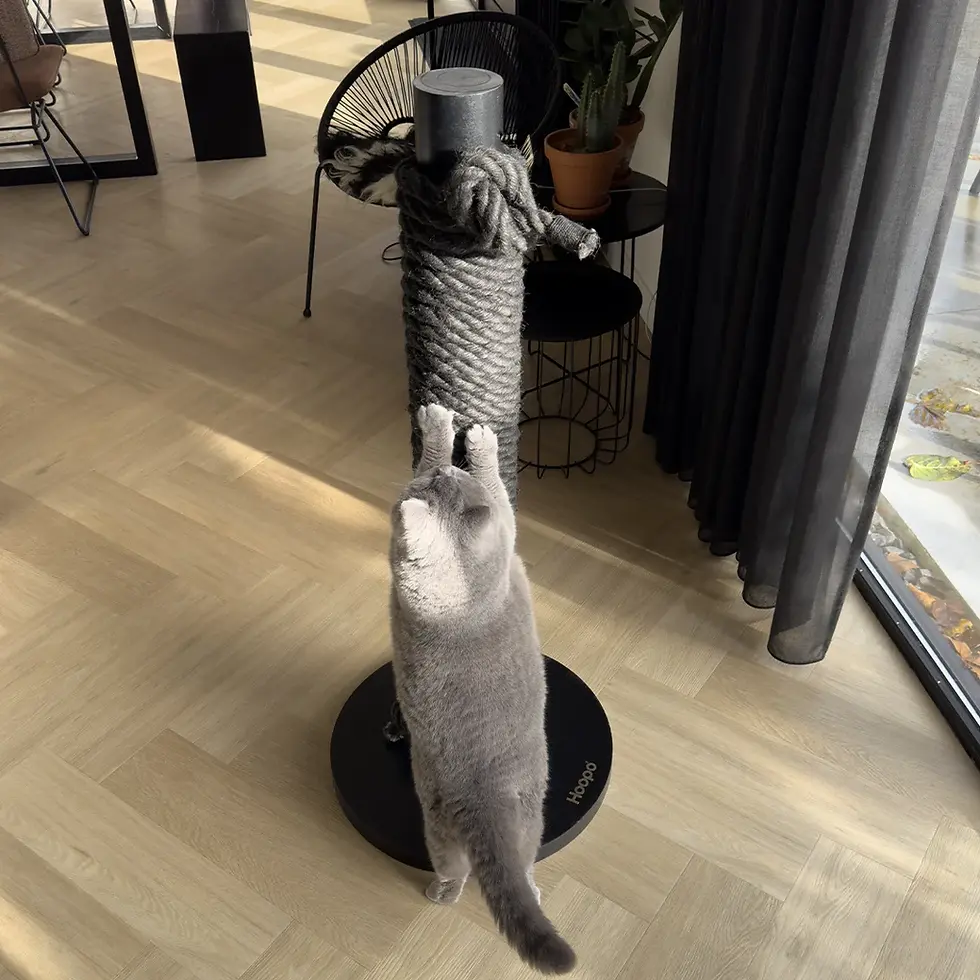 Thumbnail: Hoopo Totem Cat Scratching Post - Black