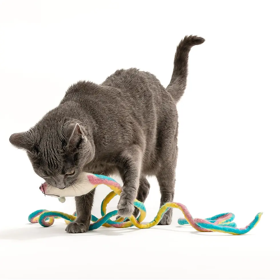 Thumbnail: Long Tail Wool Mouse Cat Toy (Rainbow - Unicorn)