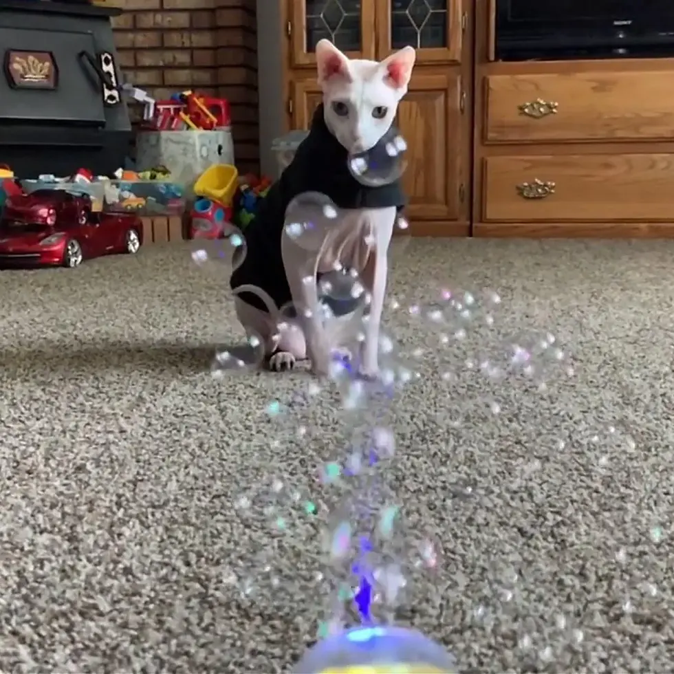 Thumbnail: Meowijuana Catnip and Honeysuckle Bubbles for Cats