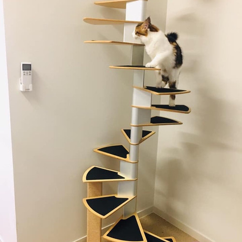 Catswall Design Spiral Cat Staircase