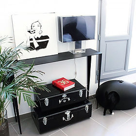 Black Poopoopeedo litter box in room.jpg